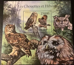 ISLAS COMORAS. 2011. Búhos. 1 HB (1 x 1 val) MNH - Imagen 1 de 1