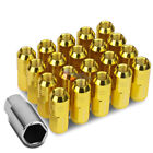 20 CONICAL SEAT M12X1.25 20MM OD ALUMINUM GOLD 50MM CLOSED-END LUG NUTS+ADAPTER