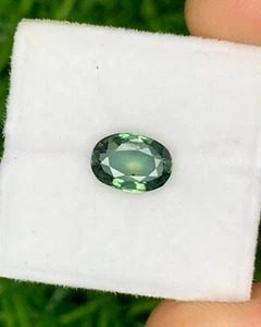 Natural Bi Color Sapphire 1.29 Carat 7.7x5.5 MM Oval Shape Faceted Gem - Picture 1 of 9