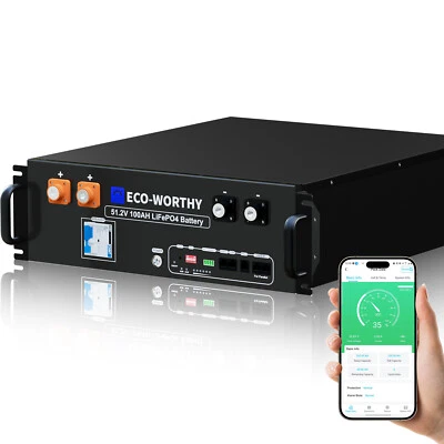 Batería para rack de servidores ECO-WORTHY 5,12 kWh 48 V 100 AH UL1973 y UL9540A Foto 1 de 4