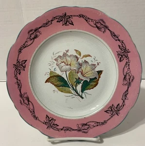 Scarce c. 1860s Powell & Bishop Best P&B 9” Pink Turquoise Trim Plate Botanical - Picture 1 of 6