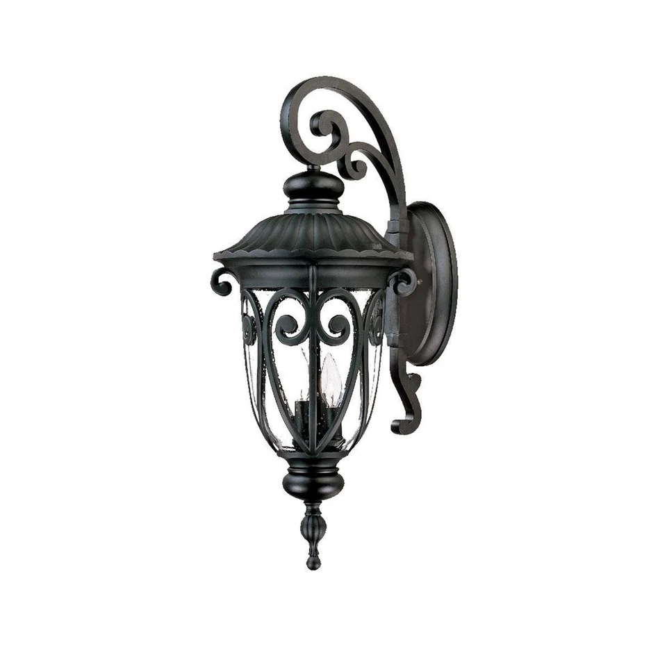 Acclaim Lighting Matte Black Naples Outdoor Wall Light With Clear Seeded Glass 2122BK