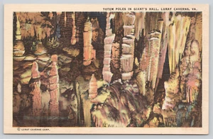 Tótem postal postes en Giants Hall Luray Caverns Virginia Karst Caves lino - Imagen 1 de 2