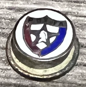 Patriotic Order Sons of America P.O.S OF A, Lapel Hat Pin Screw Back Vintage - Picture 1 of 3