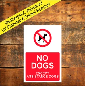 No Dogs Symbol Except Assistance Dogs Sign Weatherproof sign or sticker 9492 - Picture 1 of 2