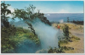 Cartolina vintage - Steam Crack... Parco nazionale vulcani delle Hawaii - Foto 1 di 2