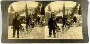 SV028_023 Stereoview Alaska Dog Sled Team - Picture 1 of 1