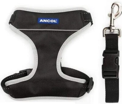 Arnés de viaje para perros - negro. Uso en coche o en paseos. Acolchado reflectante ajustable Foto 1 de 4