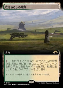 MTG Full Art 0466 Windswept Heath Japanese [MH3] - Picture 1 of 1