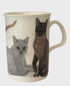 Roy Kirkham Coffee Mug Cats England Fine Bone China Cup Signed G3 - Picture 1 of 6