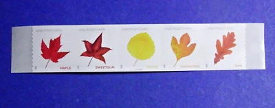 US 5971-5975 VIBRANT LEAVES ND POSTCARD (F) RATE PLATE# COIL STRIP OF (5) PNC - Image 1 of 3