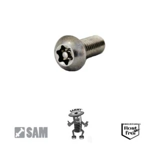 Sicherheitsschrauben Linsenkopf ISO 7380 Torx+PIN Edelstahl V2A M5X8 bis M5X60 - Bild 1 von 1