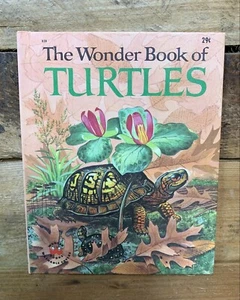 The Wonder Book of TURTLES Eve Morel 1964 Wonder Books #838 Koehler Vintage - Picture 1 of 6