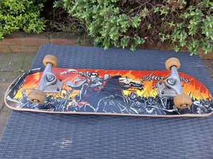 Skateboard Steve Berra Birdhouse usato raro design - Foto 1 di 14