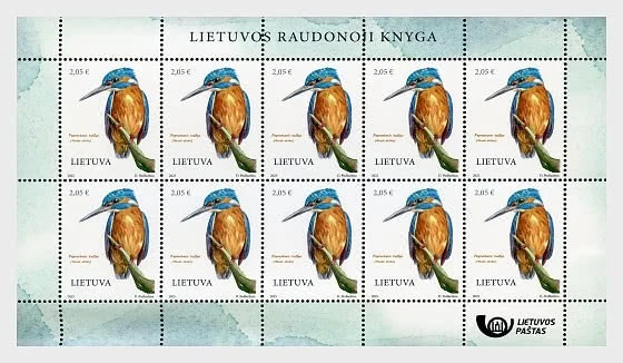 lituania 2025 aves martín pescador Alcedo en esta hoja completa 10v mnh Foto 1 de 1