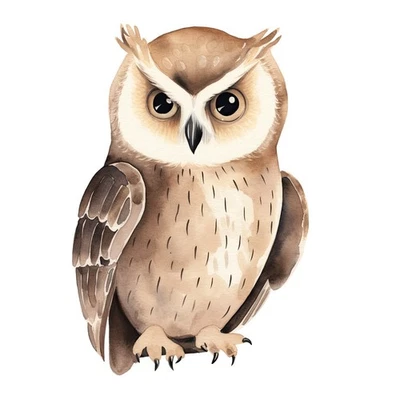 Aquarell Eule Bügelbild DTF Druck mystisches Tiermotiv für T Shirt Hoodie Tasche - Bild 1 von 4