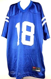 Indianapolis Colts Peyton Manning Youth Football Jersey Blue - Picture 1 of 4