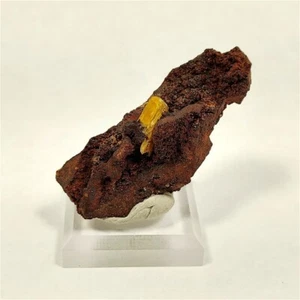 Legrandite, Ojuela Mine, Mapimi, Durango, Mexiko, #leg8 - Bild 1 von 4