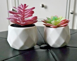 2 Pink Artificial Fake Succulent Plants Faux Indoor Decor Small Succulent Potted - Picture 1 of 3
