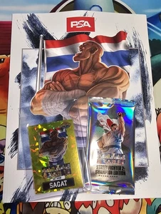 Sagat Gold Ice 1/25 Street Fighter 2 Champion Edition PSA esclusiva e rivista - Foto 1 di 6