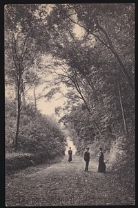 MONTFORT-L'AMAURY 78 Chemin des Bluches CPA animée Édit. ND Photo au début 1900 - Picture 1 of 2