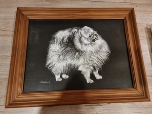 Pomeranian framed print of scratch art picture 1980s, 35cm x 27cm incl frame - Picture 1 of 3