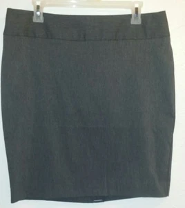 Nwot Woman's Stretch Skirt w/Waist Band & Bk Zip Bk Slit Neutal Char Gray - Bild 1 von 2