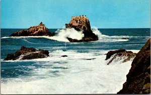 Seal and Bird Rocks Laguna Beach California Crescent Bay e Emerald Bay auto postale - Foto 1 di 2