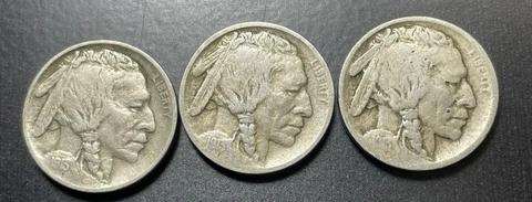 1913 P, D & S  Buffalo Nickel's Type 1 Set All Easy Readable Dates and MM Cover
