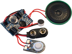 BRC-09PR 20 Second recording module with 9V battery Connector - Picture 1 of 3