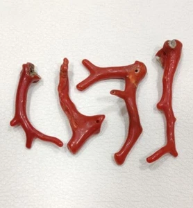Italian Red Coral Rough Undyed Genuine Coral Gemstone Reef Polished - Picture 1 of 8