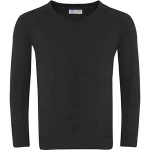 Classic V-Neck Sweatshirt Banner Premier LC V-Neck Jumper Unisex - Picture 1 of 17