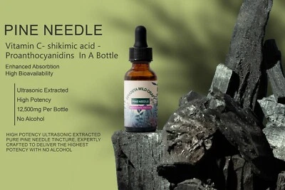 AMANITA WILDCRAFT Pine Needle Tincture Non Alcohol ❤️45-Day Love It Guarantee – Try it risk-free❤️