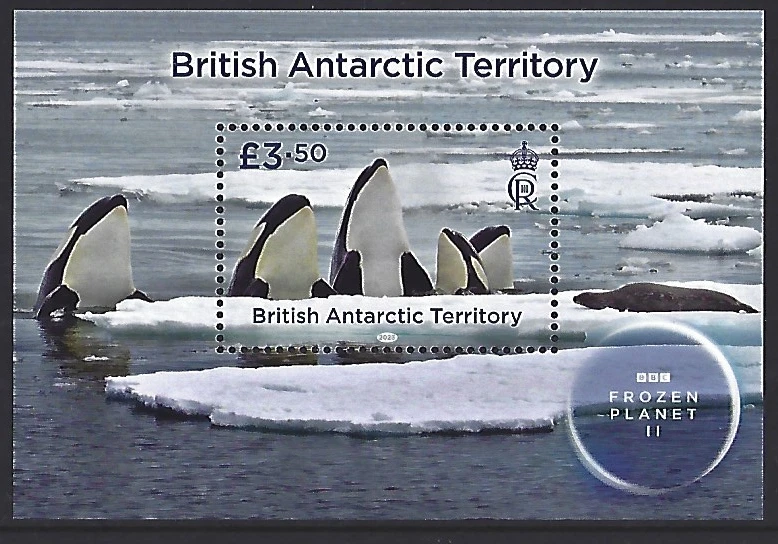 BRITISH ANTARCTIC TERRITORY 2023 FROZEN PLANET MINIATURE SHEET UNMOUNTED MINT - Image 1 of 1