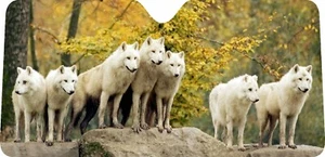 Nice White Wolfs design car window Sun shade , made to order, select your size - Picture 1 of 1