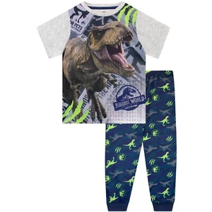 Boys Jurassic World Pyjamas | Kids Dinosaur PJs | Dinosaur Sleepwear For Kids - Picture 1 of 8