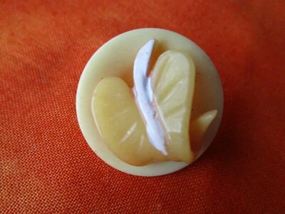 6788 – Weeber Type Plant Life Celluloid Vintage Button, 1-1/6” - Image 1 of 4