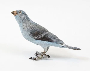 Antiker Bronze Vogel Österreich Wien kaltbemalt Bluebird Bergmann Stil - Bild 1 von 13