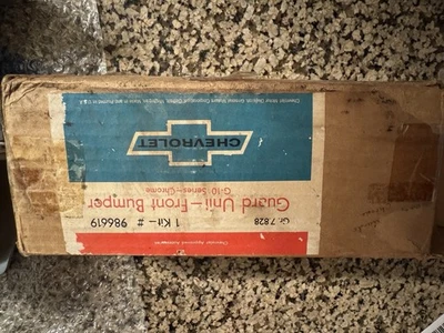 Protectores de parachoques raros para Chevrolet Van G10 65-66 como nuevos Foto 1 de 3