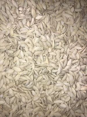 PUMPKIN SEEDS IN SHELL ROASTED SALTED Fresh Guarantee 2 POUNDS 👍 - Image 1 of 4