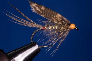 Fliegentom 3 Stück Märzbraune, Nassfliege - Bild 1 von 3