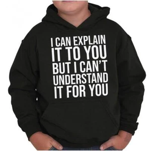 Funny Can Explain It But Can't Understand It Youth Hooded Sweatshirt Boy or Girl - Picture 1 of 7