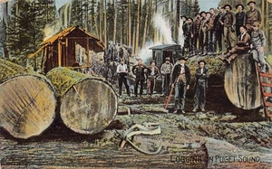 Logging on Puget Sound Lumberjacks Washington 1910c postcard - Picture 1 of 2