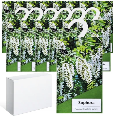 14Pcs Profuma Armadio Vestiti, Profumatori Armadio E Cassetti, Profumatore Auto, - Immagine 1 di 4