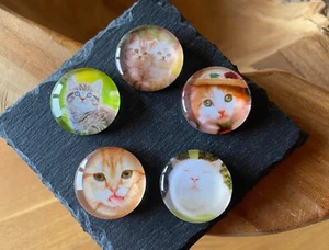 Dekorative Katzen Magnete 5 Stück NEU Geschenkidee Katzenliebhaber (Nr. 03) - Bild 1 von 3
