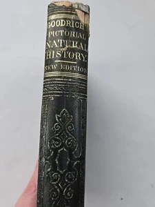 Antique 1866 Book Pictorial Natural History Mineral Animal S. G. Goodrich - Bild 1 von 6