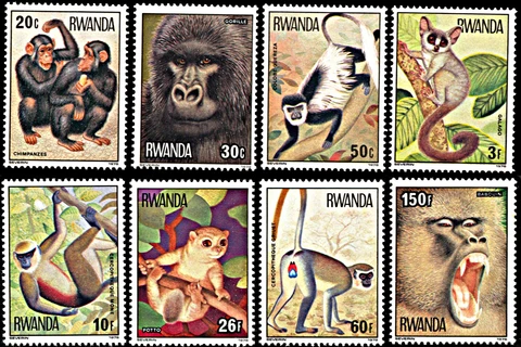 Rwanda #857-864 MNH CV$14.15 1978 Monkeys Apes Gorillas Chimps Cover