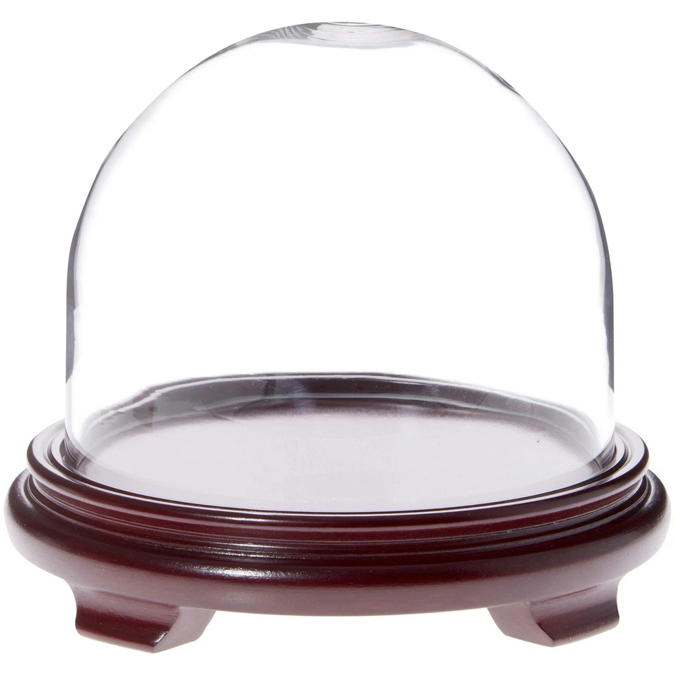 Cloche cúpula display vidro Plymor 8" x 6.5" (base de madeira vermelha folheada com pés) - Imagem 1 de 1