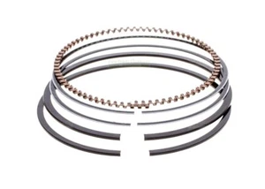 fasce elastiche per B&S 5, 6CV 795690 795132 Classic Sprint 3,5 400 500er - Foto 1 di 2