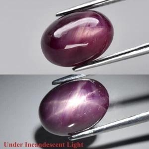 3.97ct Oval Cab Purplish Red 6 Ray Star Ruby Gemstone (Heated Glass Filling) - Picture 1 of 12